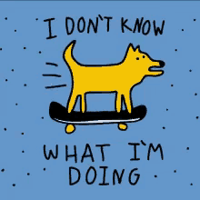 I Dont Know What Im Doing Dog GIF - I Dont Know What Im Doing Dog Skateboard GIFs
