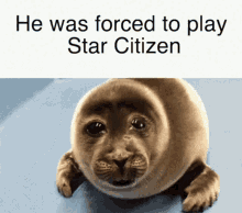 He Was Forced Forced GIF - He Was Forced Forced Star Citizen GIFs