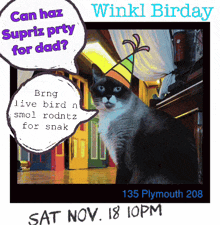 a cat wearing a party hat is on a flyer for winkl birday
