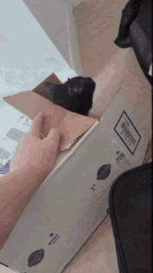 a black cat is sitting in a cardboard box with a label that says t120