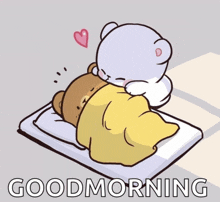 a cartoon of a teddy bear hugging another teddy bear with the words " good morning " below them