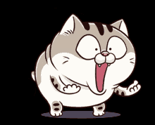 Ami Fat Cat Fgcat GIF - Ami Fat Cat Fgcat Why GIFs