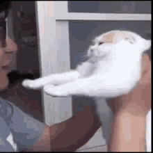 Bisou Cat GIF