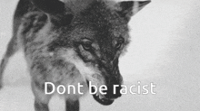 a black and white photo of a wolf with the words " dont be racist " written below it