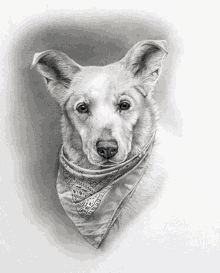 Custom Animal Portrait Pet Portrait Artist GIF - Custom Animal Portrait Pet Portrait Artist Dog Paintings GIFs