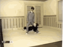 a man walking a dog in a room with the words vcrpets live on the bottom left