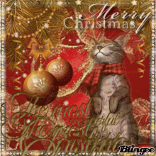 happy christmas eve merry christmas happy holidays cat the most wonderful christmas