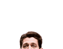 Paul Ryan Political GIF - Paul Ryan Political Politician GIFs