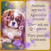 Animal Puppy Quote GIF - Animal Puppy Quote GIFs