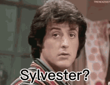 Sylvester Silvester GIF - Sylvester Silvester Misspelling GIFs