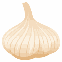 garlic bud
