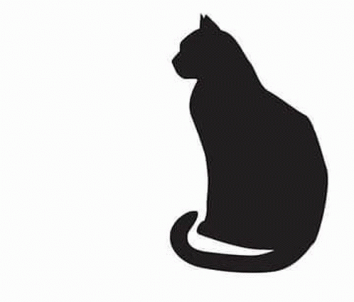 Schrodingers Cat Cat GIF - Schrodingers Cat Cat Skeleton GIFs