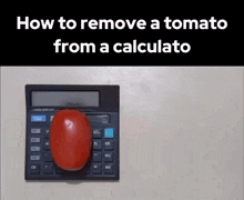 Tomato Calculator GIF