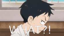 What Surprised GIF - What Surprised Anime GIFs