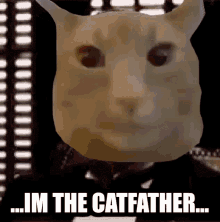 Catkingdomcat Catfather GIF - Catkingdomcat Kingdomcat Catfather GIFs