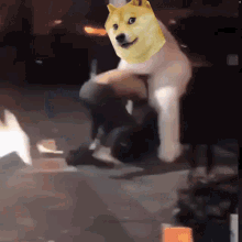 Doge Doge Fight GIF - Doge Doge Fight Barry GIFs