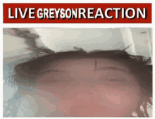 Live Greyson Reaction GIF - Live Greyson Reaction GIFs