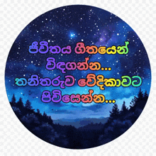 a picture of a night sky with trees in the foreground in a foreign language
