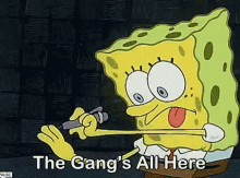 The Gang Is All Here Spongebob GIF - The Gang Is All Here The Gang Spongebob GIFs