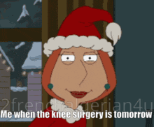 Knee Surgery Lois GIF - Knee Surgery Lois Irony GIFs