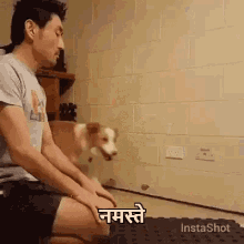 नमस्ते कुत्ते GIF - Namaste Dog Hello Doggy GIFs