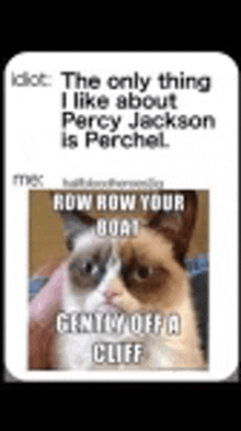 Grumpy Cat GIF