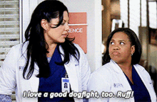 greys anatomy callie torres i love a good dogfight too ruff dogfight