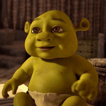 Sad Fiona, happy Shrek : r/memes