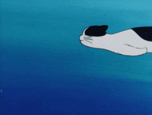 Sea Cat Anime GIF - Sea Cat Anime Sea GIFs