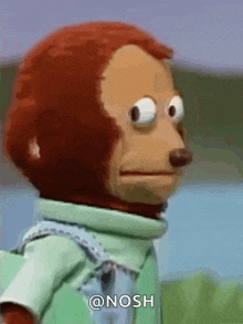 a stuffed monkey wearing a green shirt and a blue tie is standing in front of a body of water .
