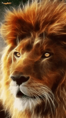 fire lion digital art majestic big cats