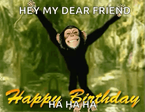 happy birthday monkey funny