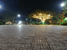 a tree with lights on it is lit up at night in a park