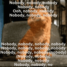 lyrics nobody