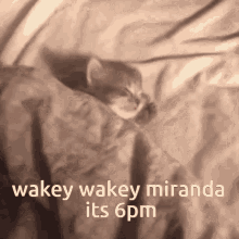 Miranda GIF - Miranda GIFs
