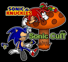 Sonic And Knuckles Sonic Cult GIF