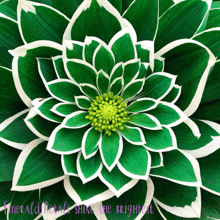 Emerald Petal GIF - Emerald Petal Emeraldpetal GIFs
