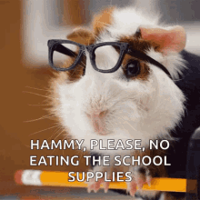 First Day Of College Back To School GIF
