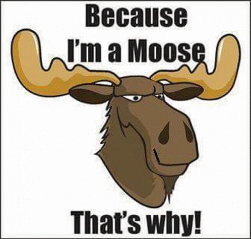 funny moose jokes