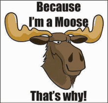Because Im A Moose GIF - Because Im A Moose GIFs