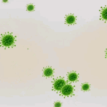 Virus Corona GIF