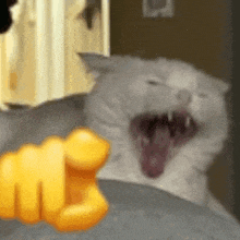Cat Cat Laugh GIF - Cat Cat Laugh Cat Laughing GIFs