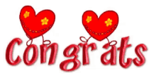 Congratulations Congrats GIF - Congratulations Congrats Grats GIFs