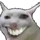 a close up of a cat 's face with a big smile on its face .