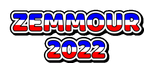 Zemmour2022 Transparent Sticker