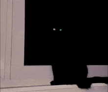 Black Cat Thunder Cat GIF