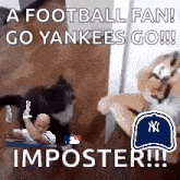 a football fan is laying on a couch with a cat and a baseball cap .