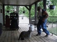 Don'T Be Scurd  GIF - Square Dance Raccoon Redneck GIFs