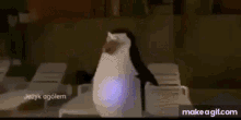 Pingwin Sarnol GIF - Pingwin Sarnol Cebulio GIFs