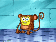 Test Monkey GIF - Test Monkey Spongebob GIFs